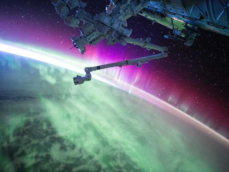 Featured image for blog post: Self-Drive vs. Driver in Bali: Which is Best?