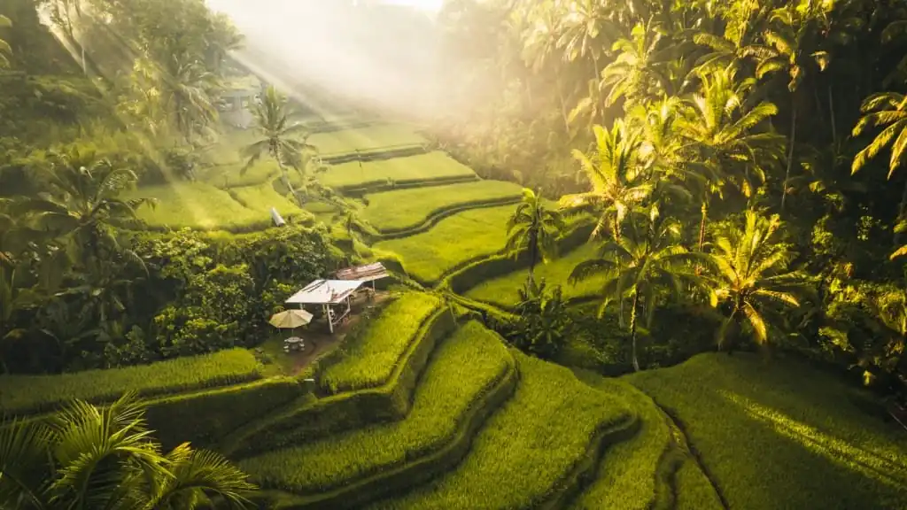 Ubud car rental location