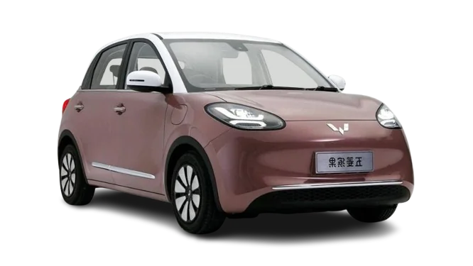 Detailed view of the WULING BINGUO EV for rent.